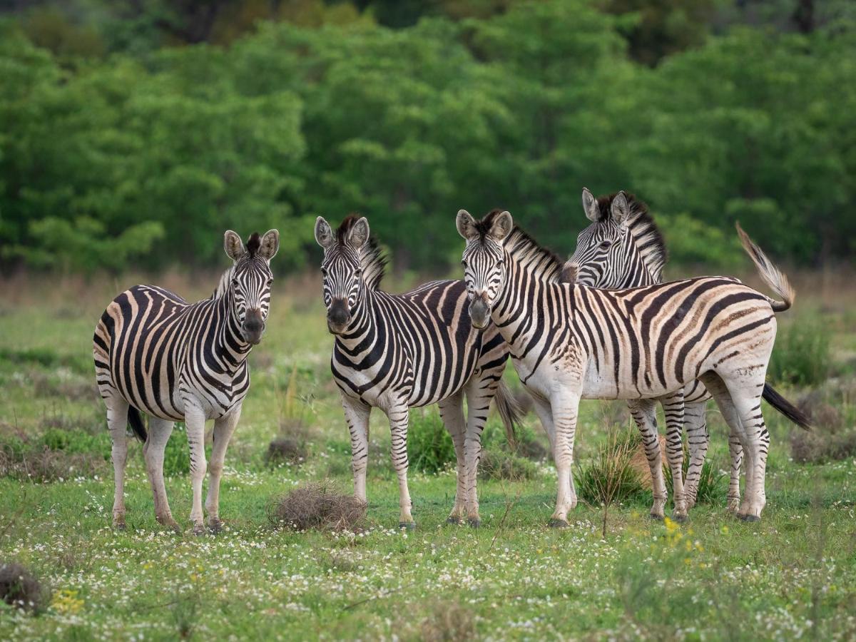 Sofala Lodge Mokopane Bagian luar foto