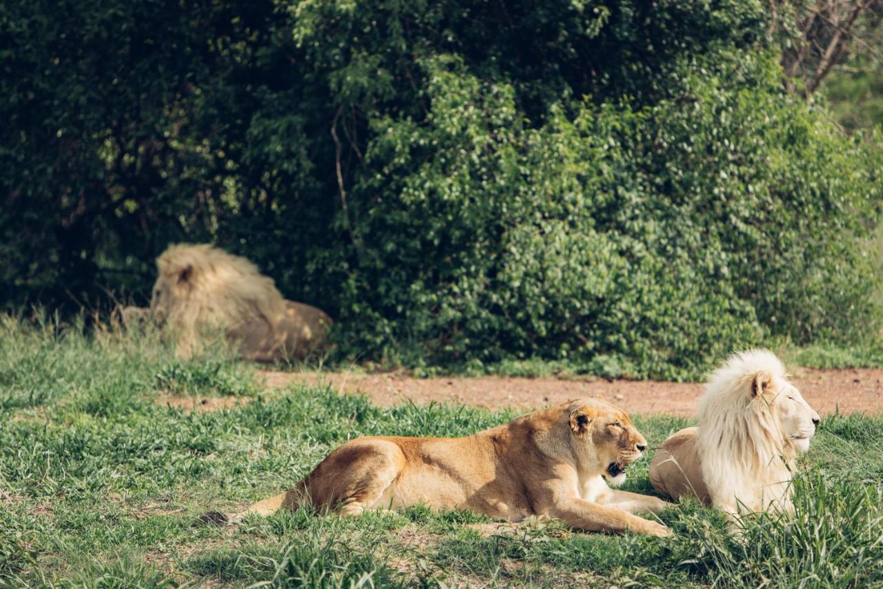 Sofala Lodge Mokopane Bagian luar foto