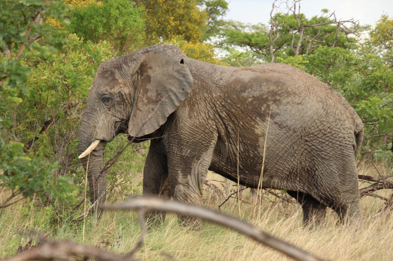 Sofala Lodge Mokopane Bagian luar foto