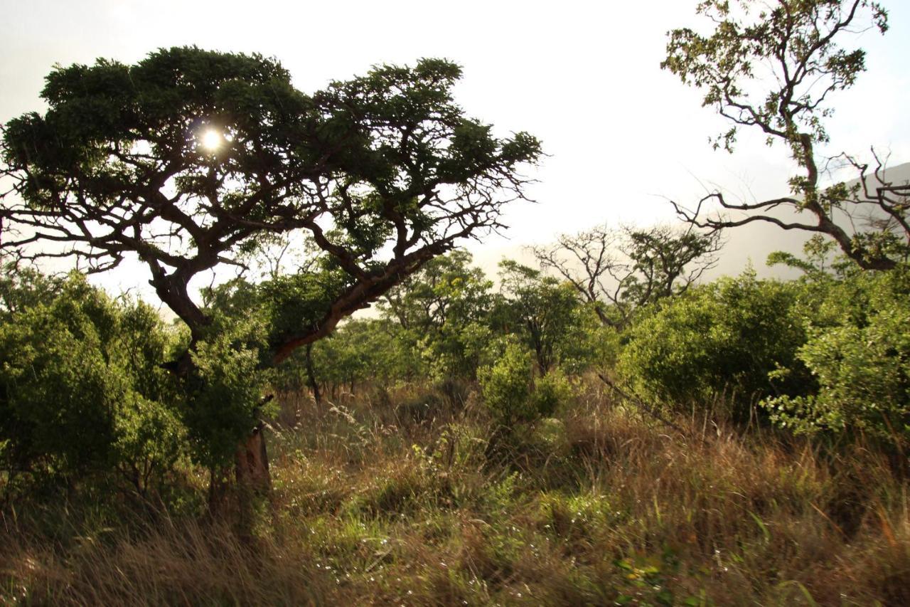 Sofala Lodge Mokopane Bagian luar foto